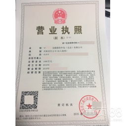 北京金融外包服務 專業(yè)化驅動下的行業(yè)變革與機遇